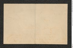 Nachlass Franz Steindachner, Brief von N. Post an Franz Steindachner (08.08.1905), Inv.Nr. 404.02, Seite 18